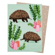 Greeting Card - Short-beaked Echidnas